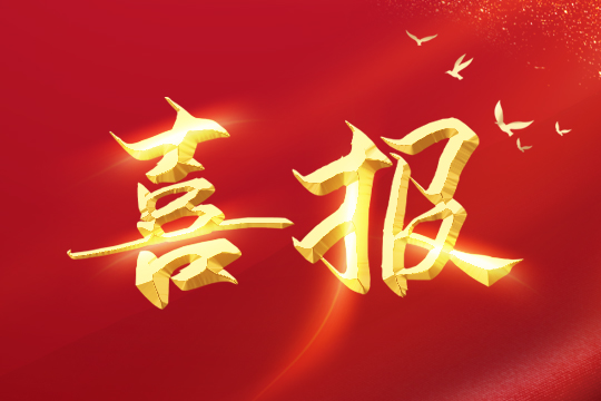 喜报 | CQ9官方网站荣登2024粤港澳大湾区企业创新力榜单